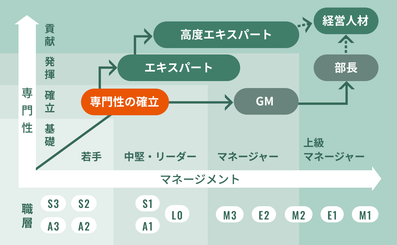 トヨタシステムズのキャリアパス概要図