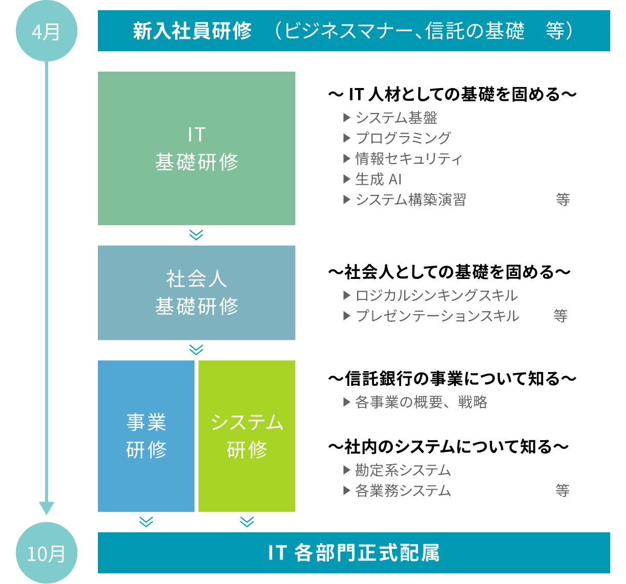 新入社員研修からIT各部門正式配属までの流れ